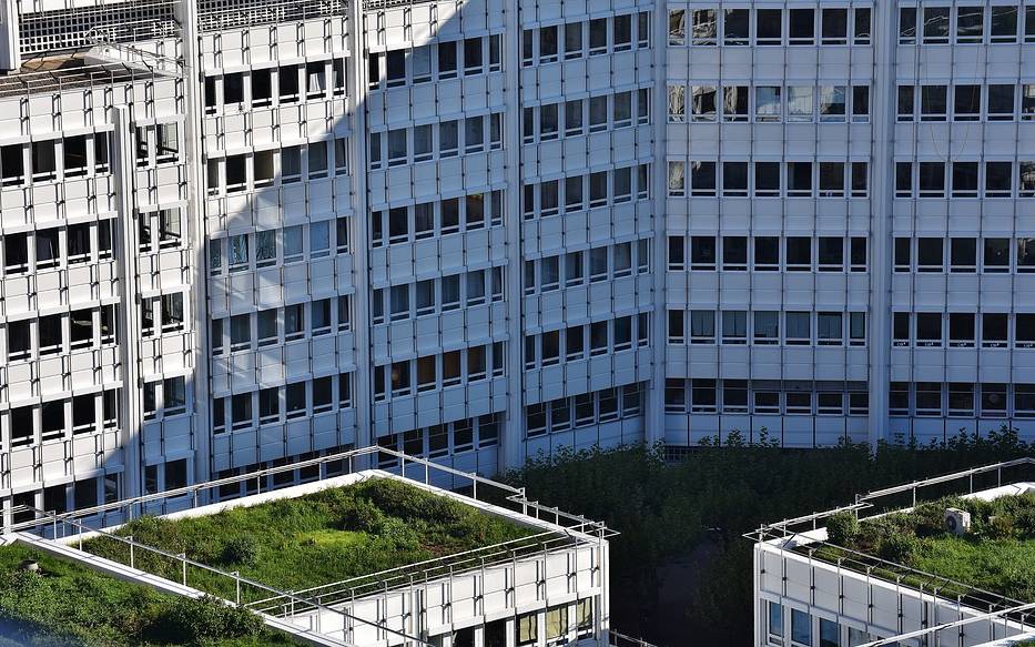 Symbolbild: Hochhauskomplex mit Dachbegrünung.