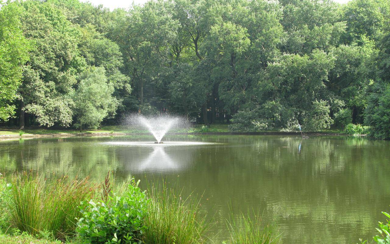 Fredenbaumteich im Fredenbaumpark