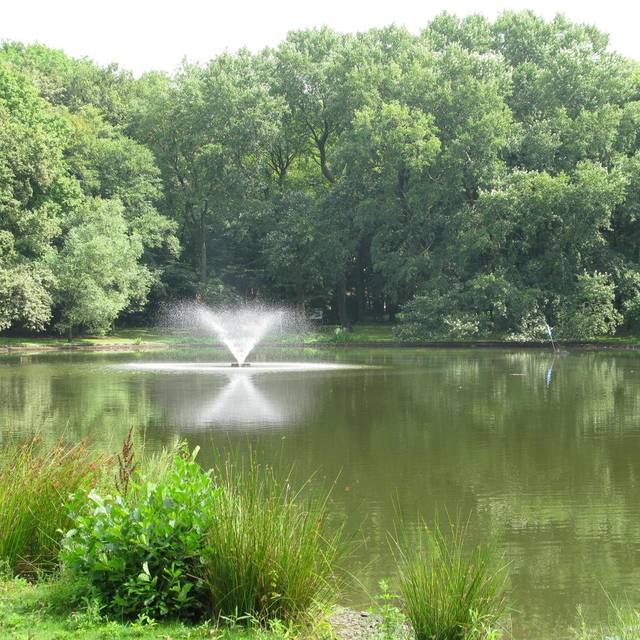 Fredenbaumteich im Fredenbaumpark