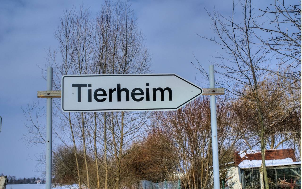 Tierheim-Schild