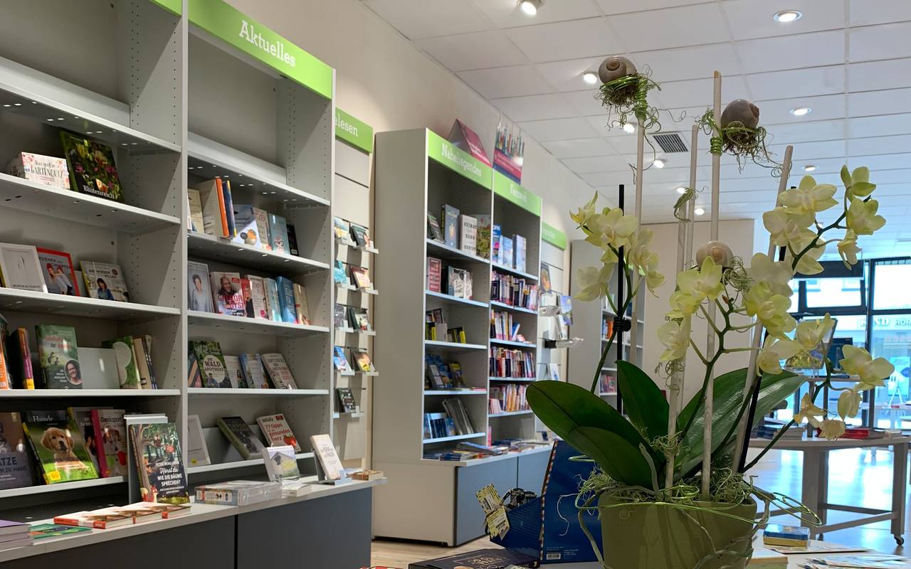 Innenansicht der Buchhandlung "Dreesen Lesen".