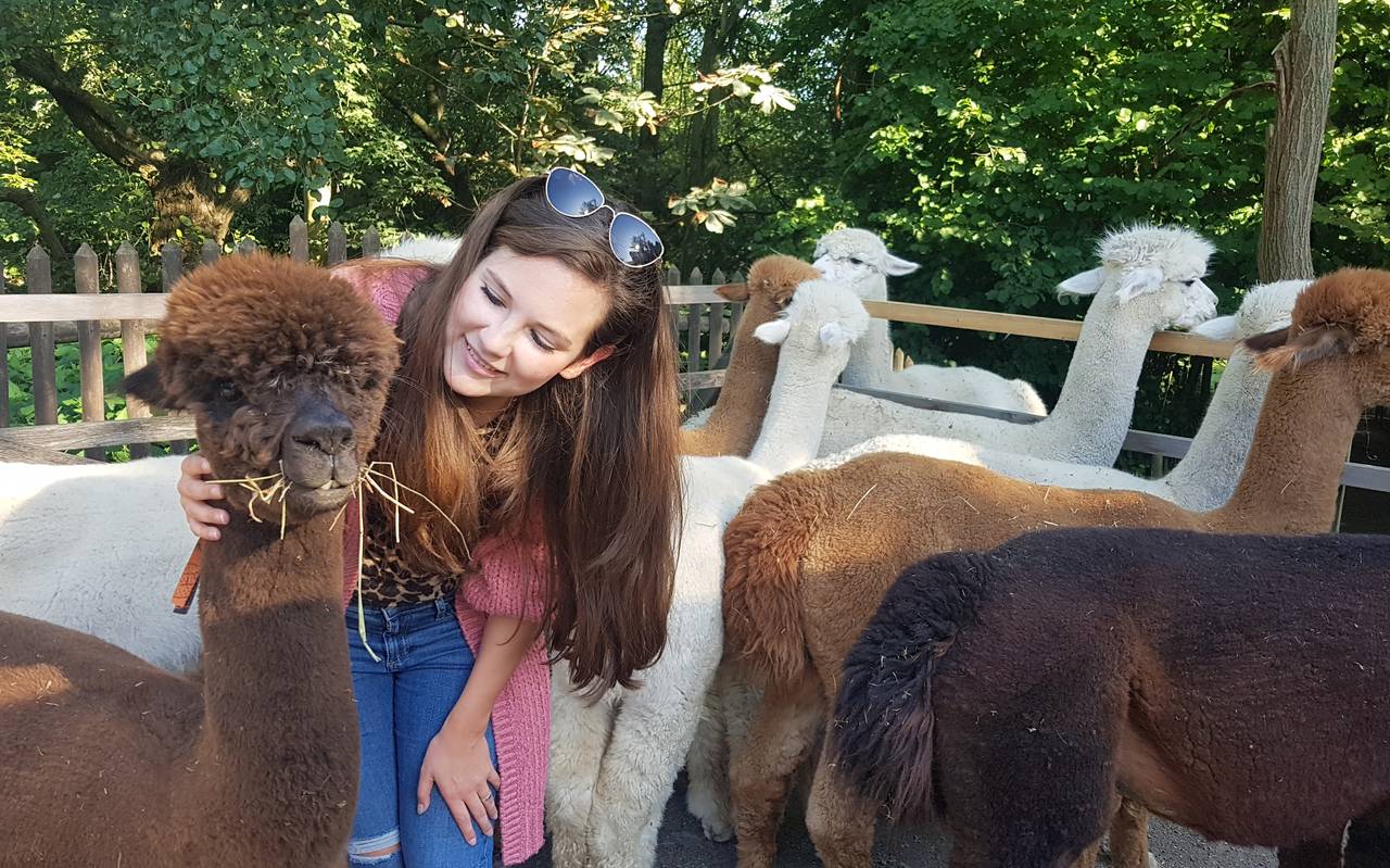 Simone Danisch mit einem Alpaka