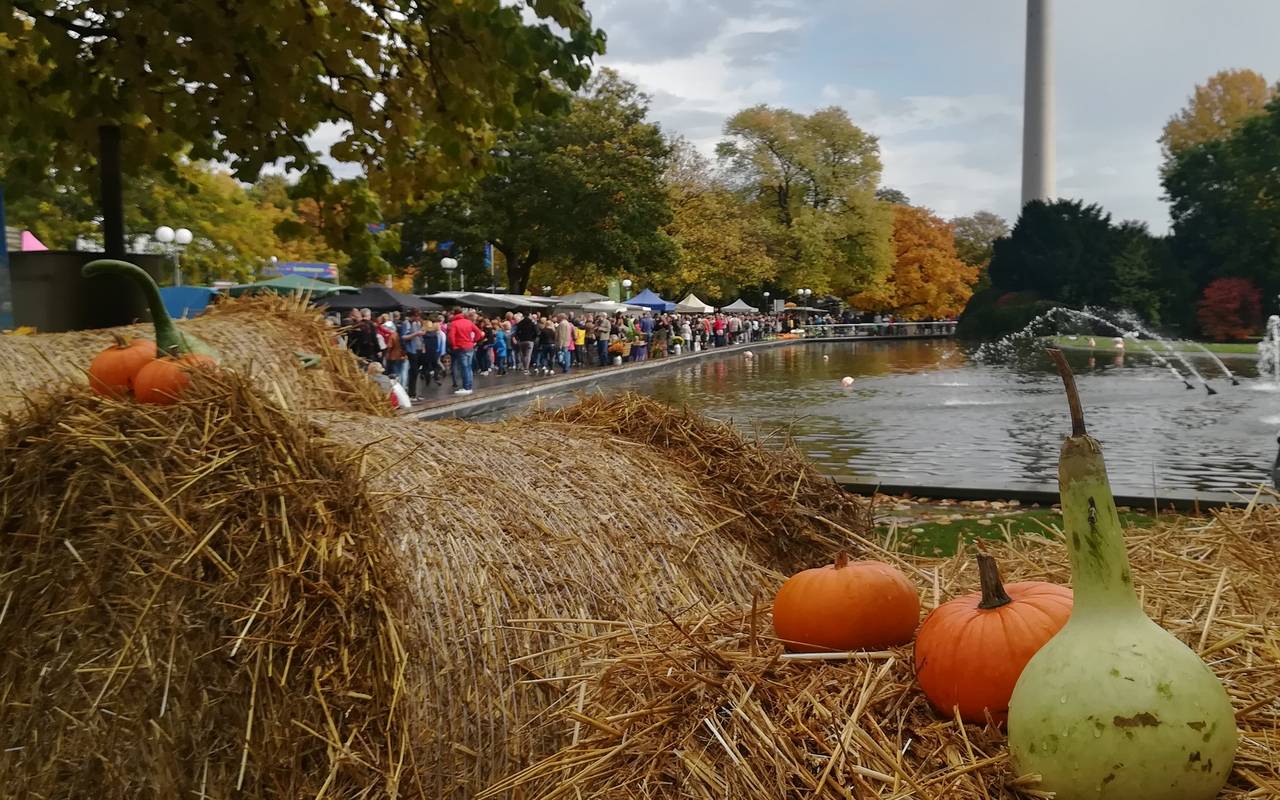 Herbstmarkt 2019 im Dortmunder Westfalenpark.