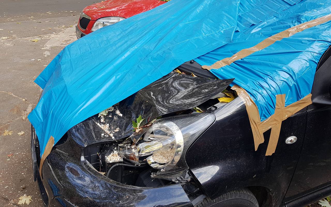 Auto an der Liebigstraße: Baumkrone ist auf das Auto gekracht.