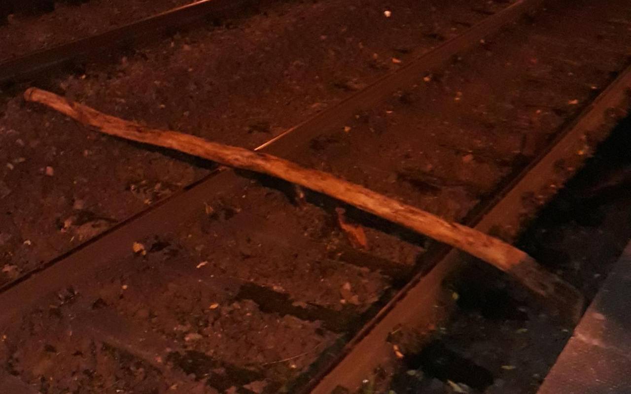 Baumstamm auf den Gleisen in Dortmund Kruckel