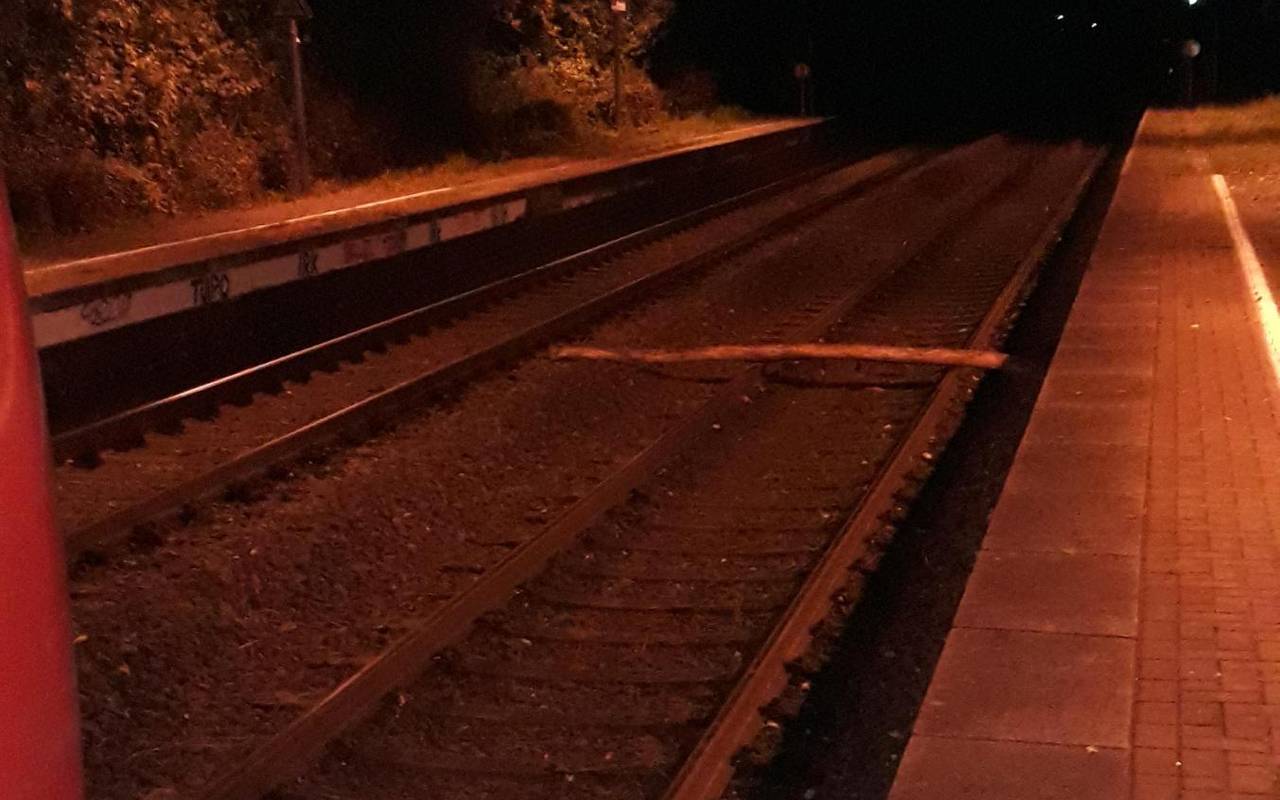 Baumstamm auf Gleise in Dortmund-Kruckel.