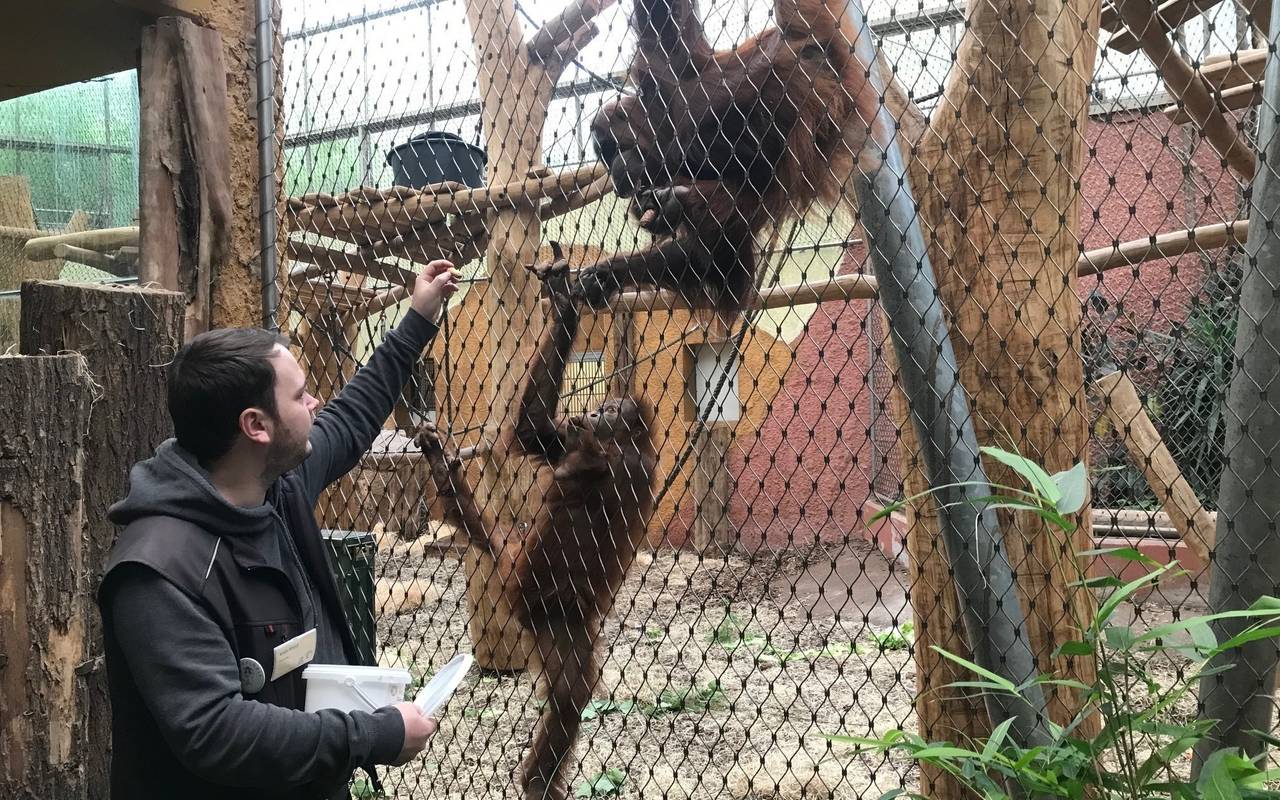 Ferienprogramm im Dortmunder Zoo.