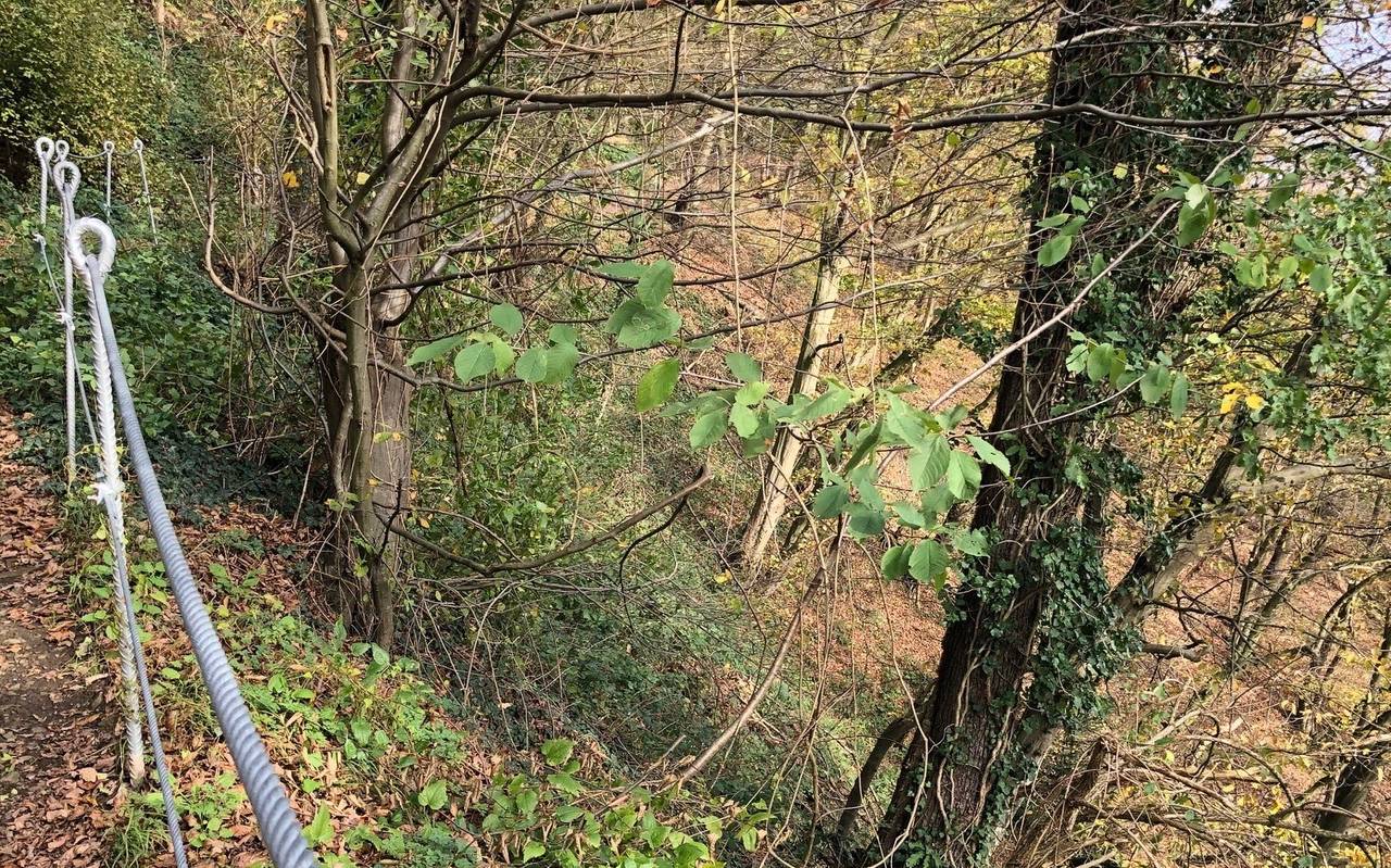 Wanderweg in Hohensyburg