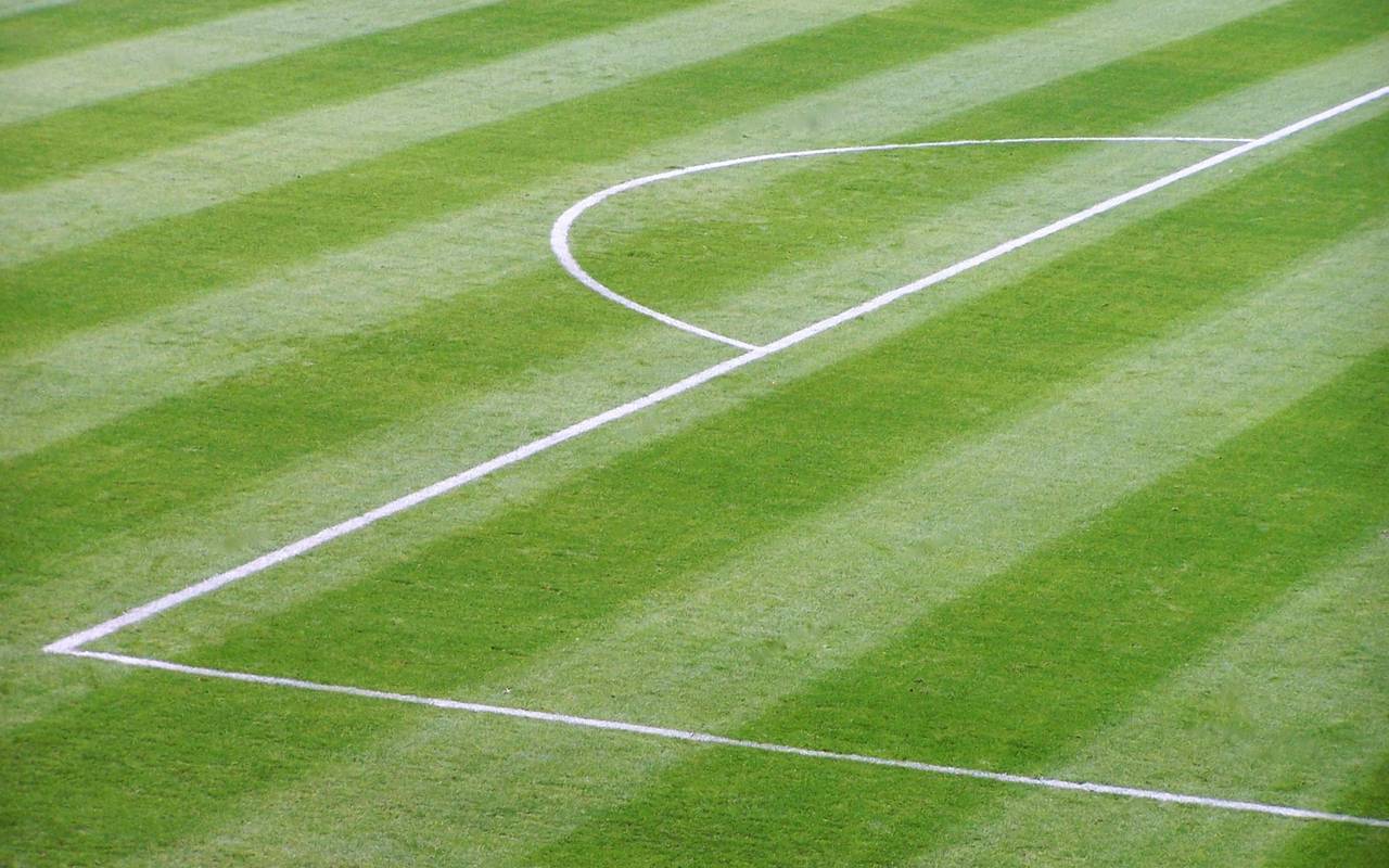 Fußballrasen