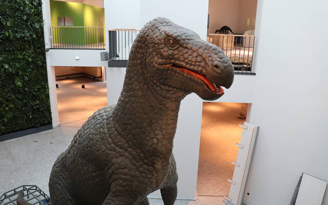 Dinosaurier im Naturmuseum Dortmund