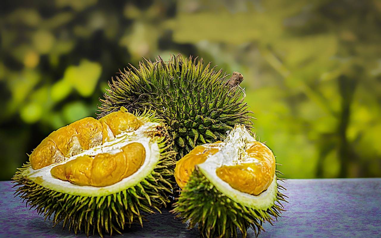 Durian (Kotzfrucht) / Symbolbild