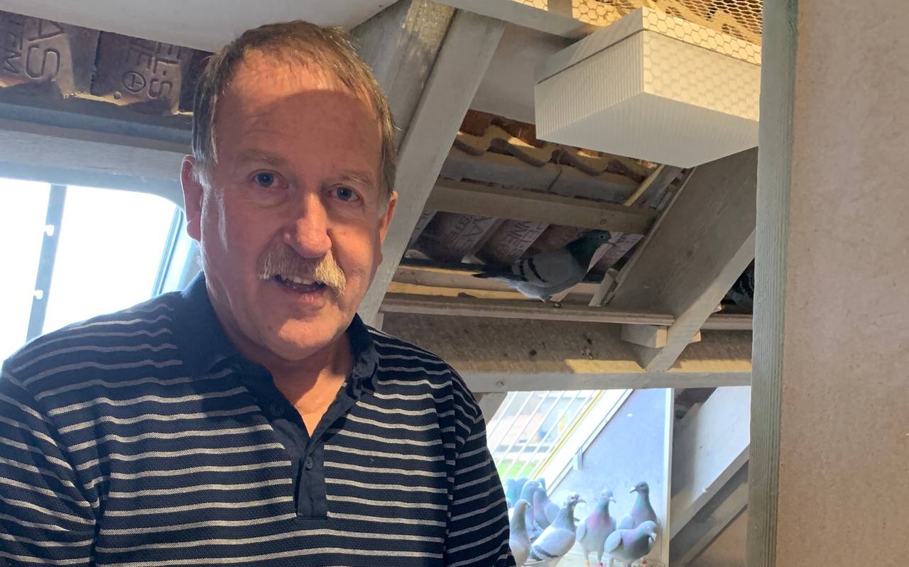 Taubenzüchter Jürgen Antenbrink.