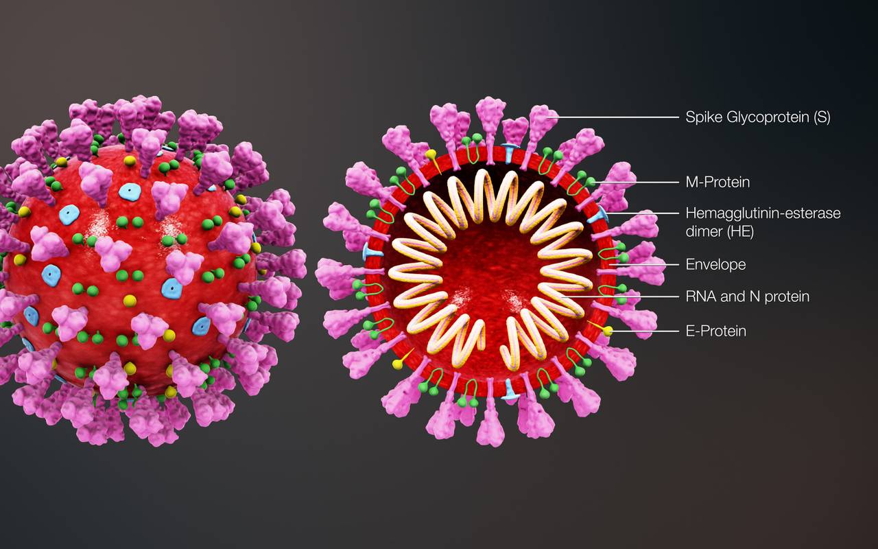 Coronavirus