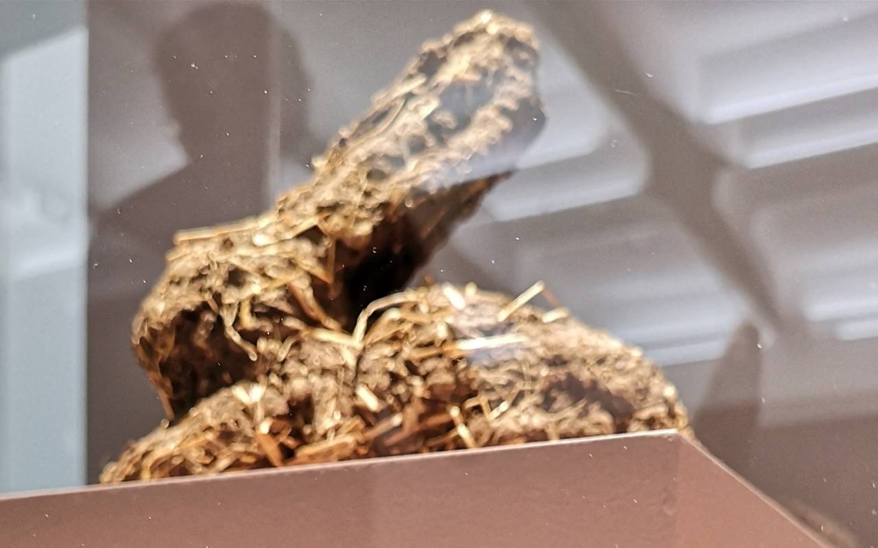 Karnickel aus Kot aus der Ausstellung Body & Soul.