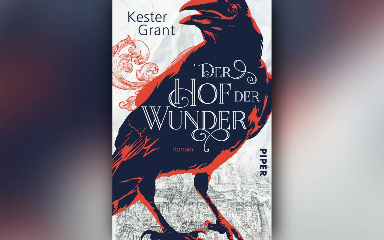 Buchcover "Der Hof der Wunder" von Kester Grant
