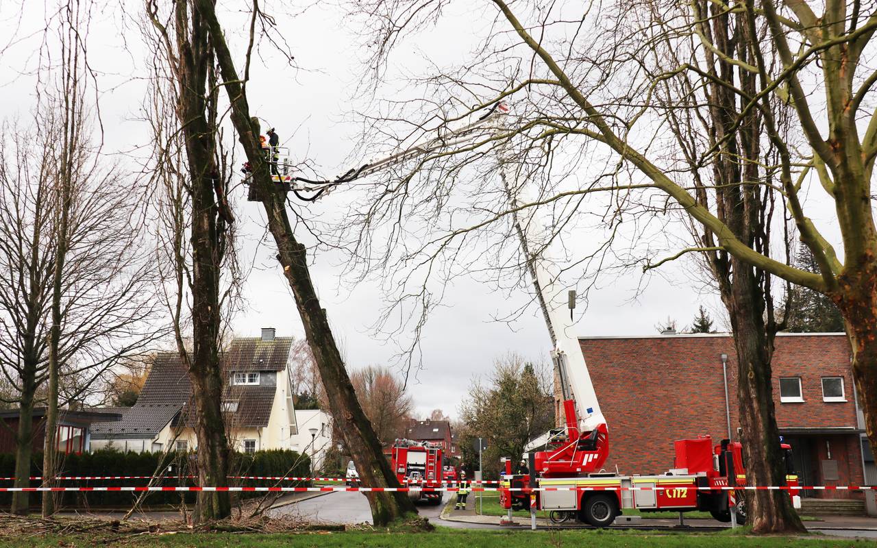 Feuerwehreinsatz nach Sturmtief "Sabine" an der Stadtrat-Cremer-Allee.