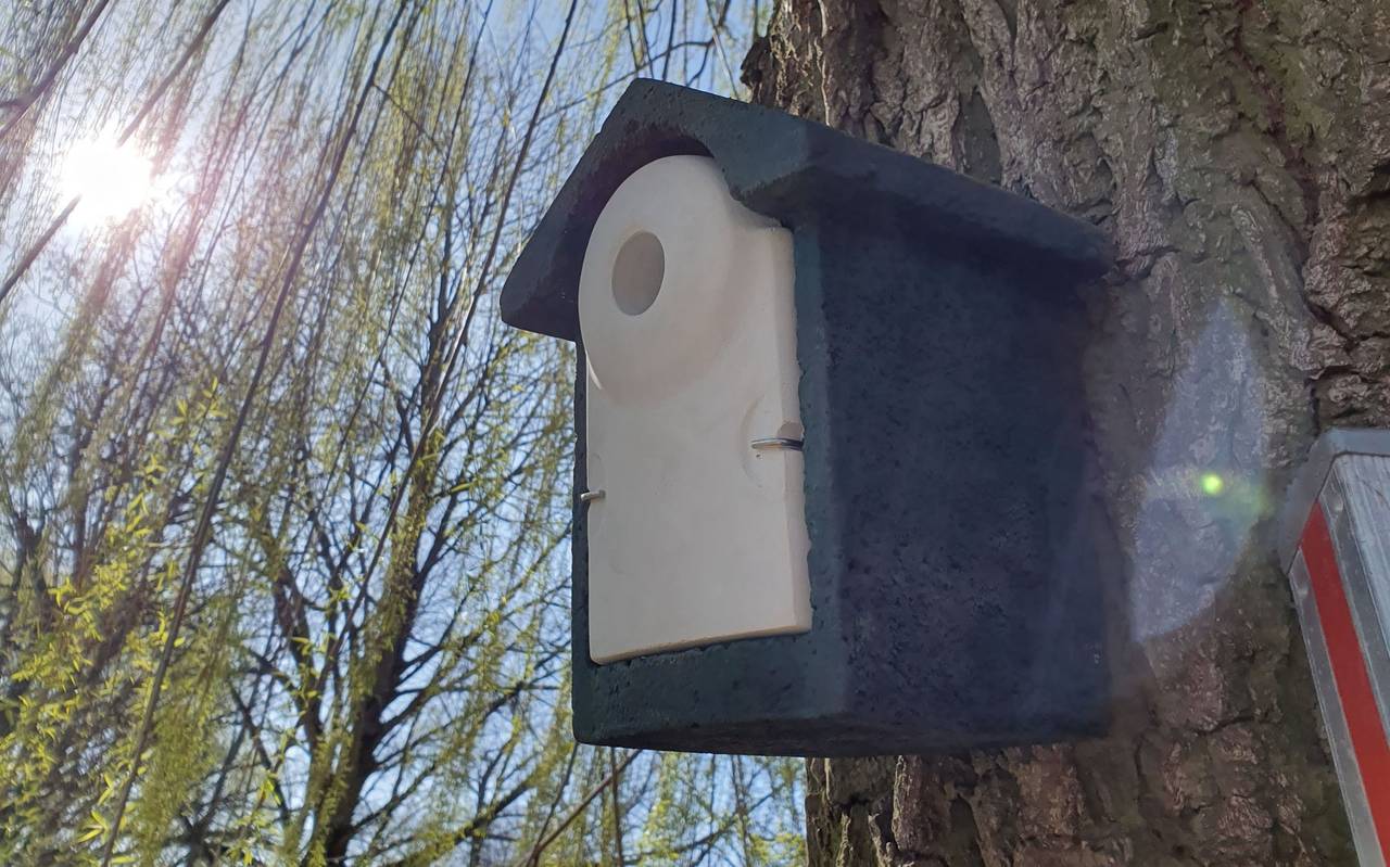 Nistkästen für Kohlmeisen wurden angebracht im Kampf gegen den Eichenprozessionsspinner.