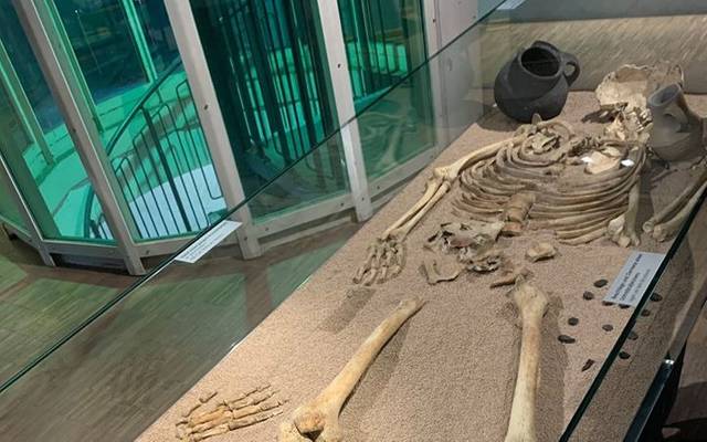 Das Skelett im Adlerturm - Ausstellungsstück