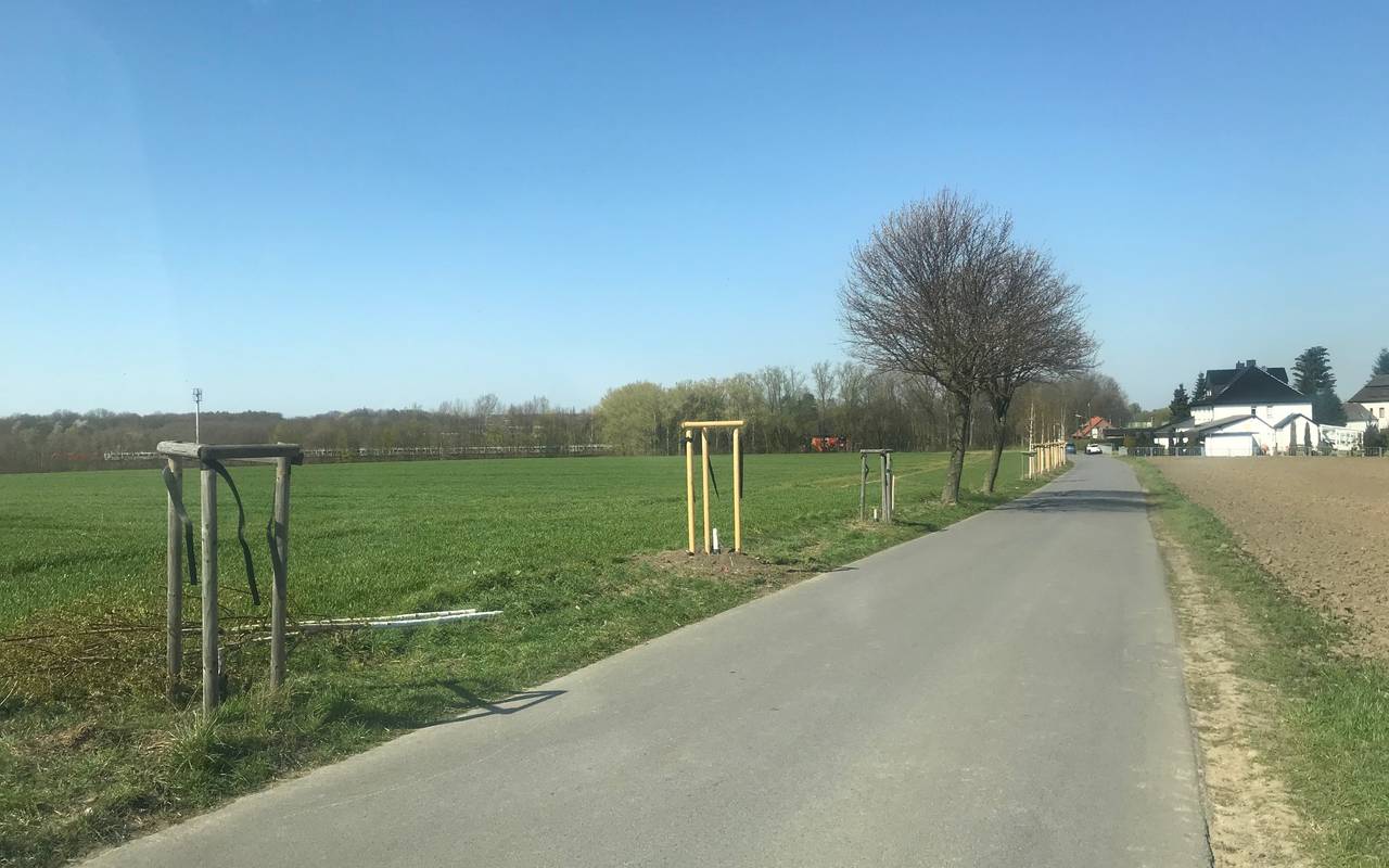 Jungbäume wurden an der Dürener Dorfstraße beschädigt.