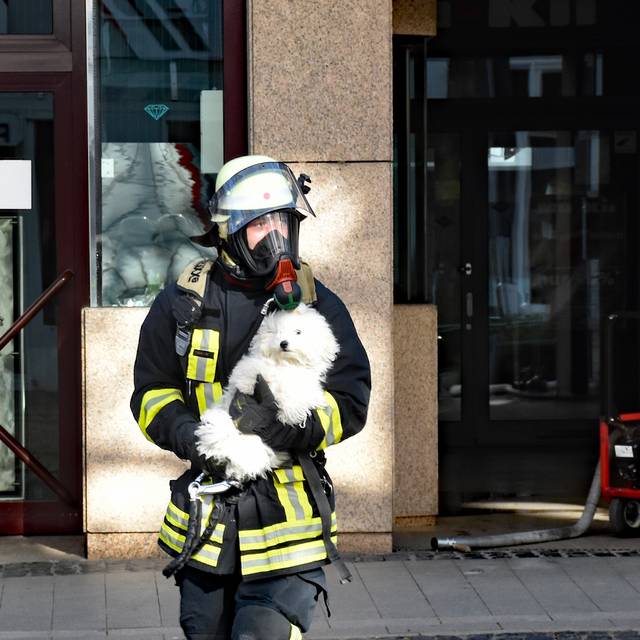 Ein Brandschützer rettet einen Hund unverletzt aus einer brennenden Wohnung in der Kleppingstraße