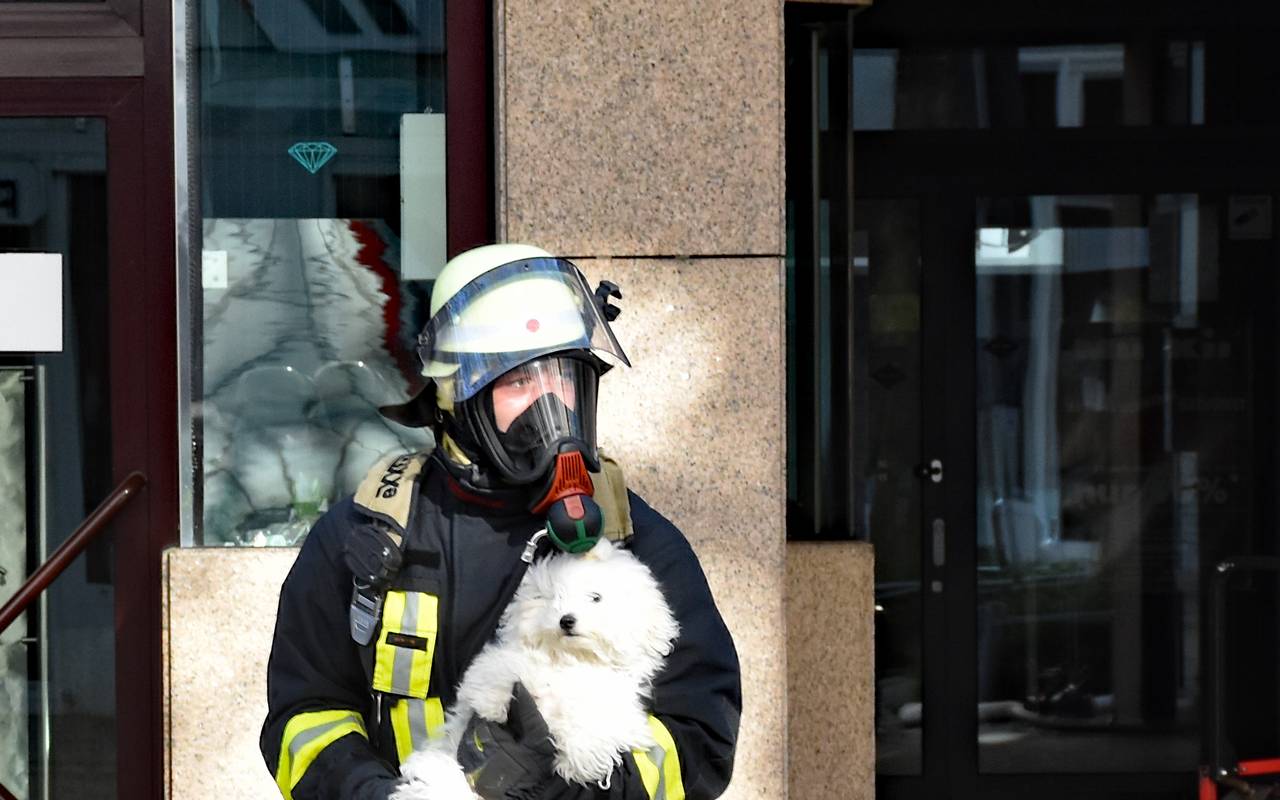 Ein Brandschützer rettet einen Hund unverletzt aus einer brennenden Wohnung in der Kleppingstraße