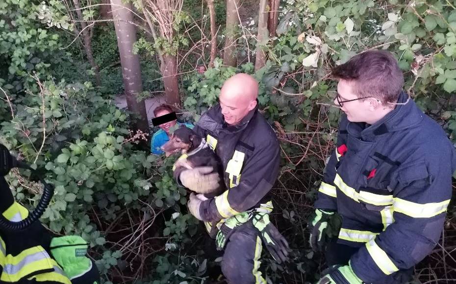 Feuerwehr Dortmund rettet Hund aus Dachsbau