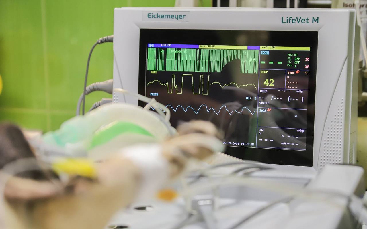 Symbolbild: EKG-Monitor