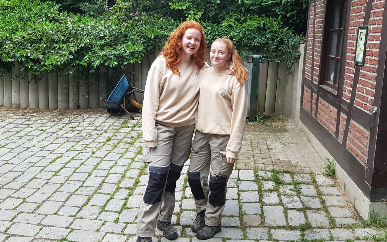 Olive und Sarah machen ein "Ökologisches Jahr" im Dortmunder Zoo.