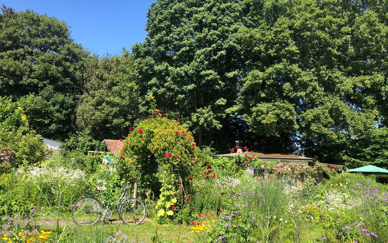 Schrebergarten 06 in Hörde