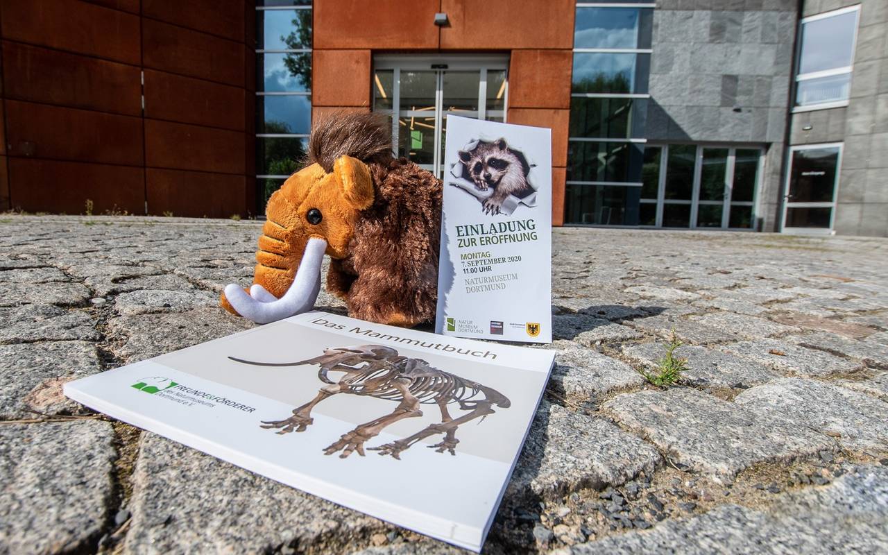 Naturmuseum Dortmund öffnet wieder und verlost exklusive Tickets für einen Vorabrundgang.
