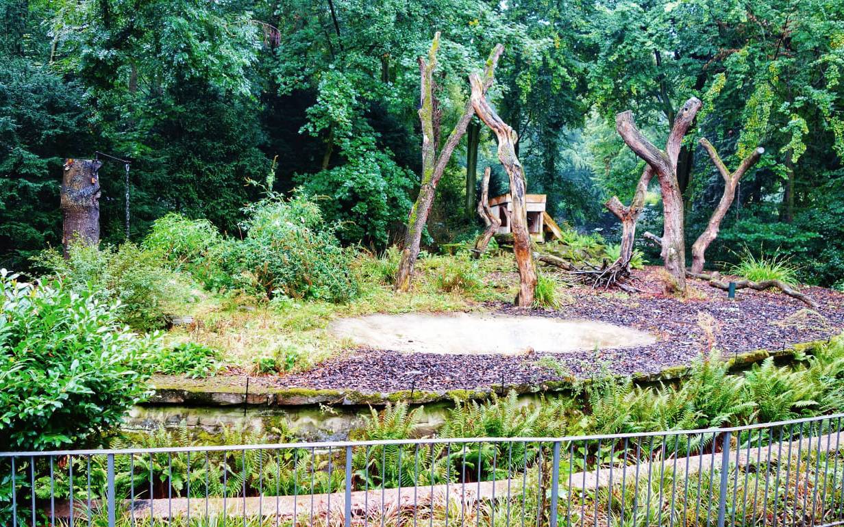 Neues Bärengehege im Dortmunder Zoo.