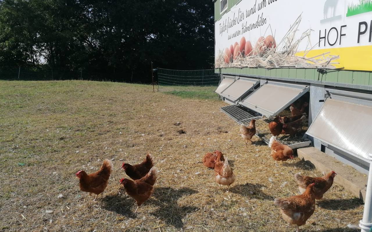 Hof Plein in Wellinghofen.