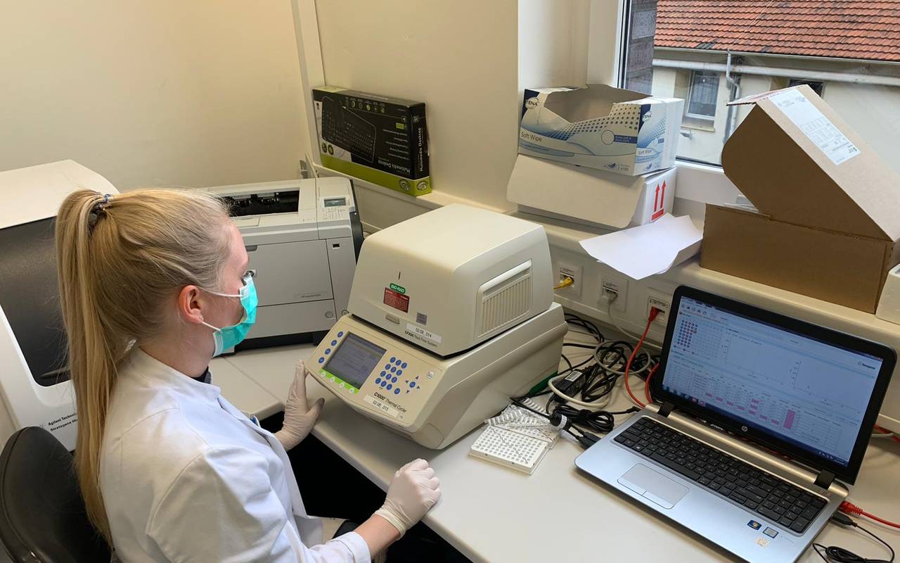 Labormitarbeiterin wertet Corona-Tests aus.