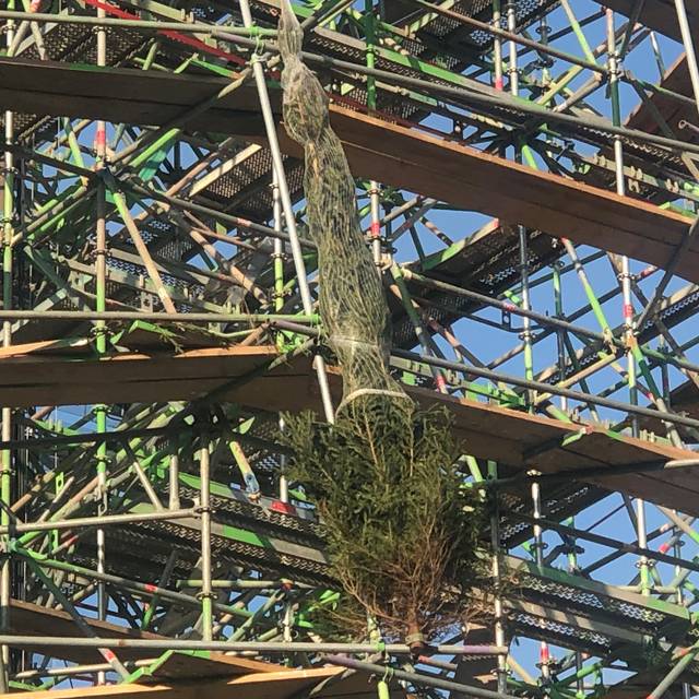 Letzter Baum hängt im Riesentannen-Gerüst auf dem Dortmunder Hansaplatz.