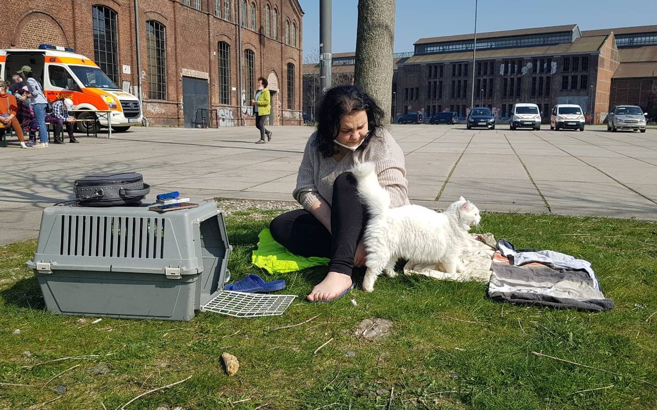 Lilia aus der Ukraine und ihre Katzen an der Warsteiner Music Hall.