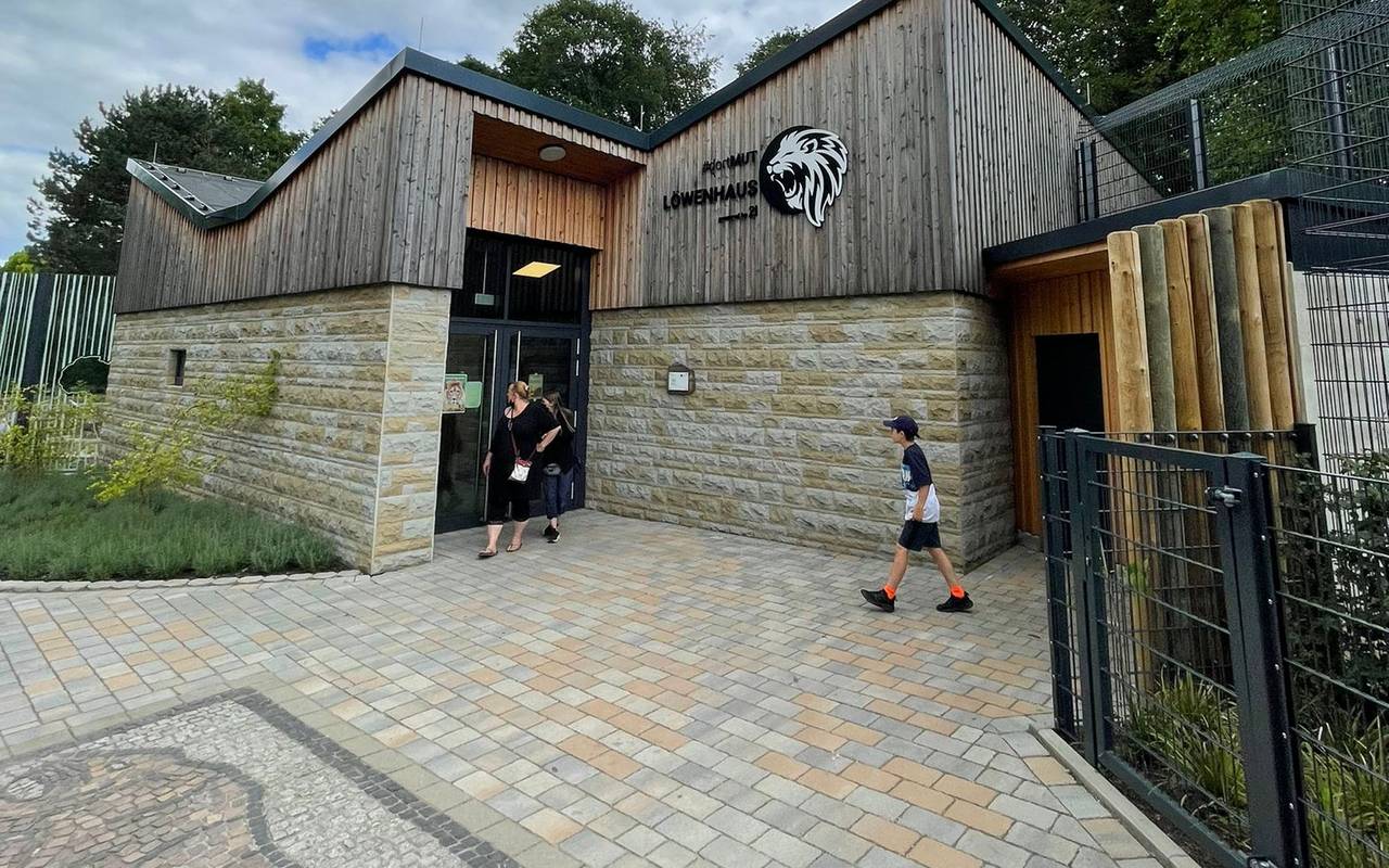 Löwengehege Dortmunder Zoo