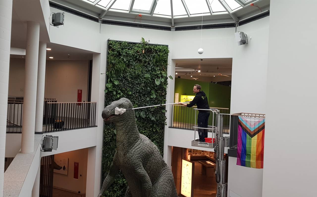 Frühjahrsputz Dortmund Naturmuseum Dino
