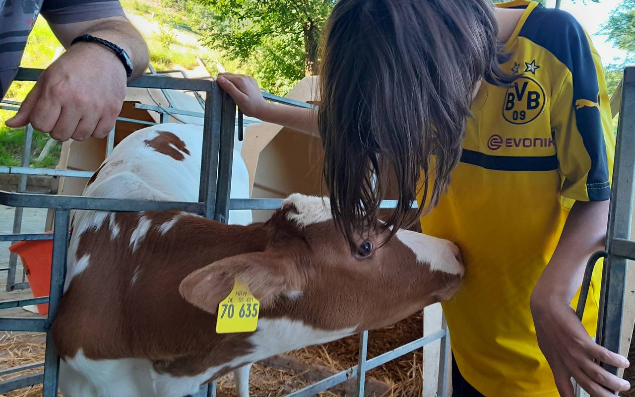 Ausflug auf den Hubertus Hof.