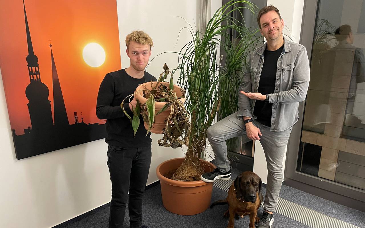 Unsere Moderatoren Tim und Christopher mit zwei Büropflanzen und Studiohund Slash.