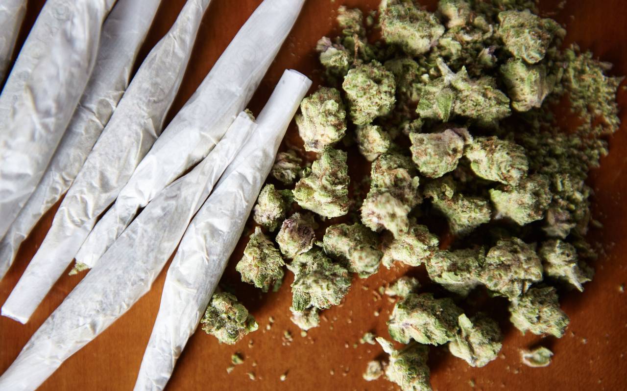 Mehrere Joints und Cannabisknollen liegen auf dem Tisch