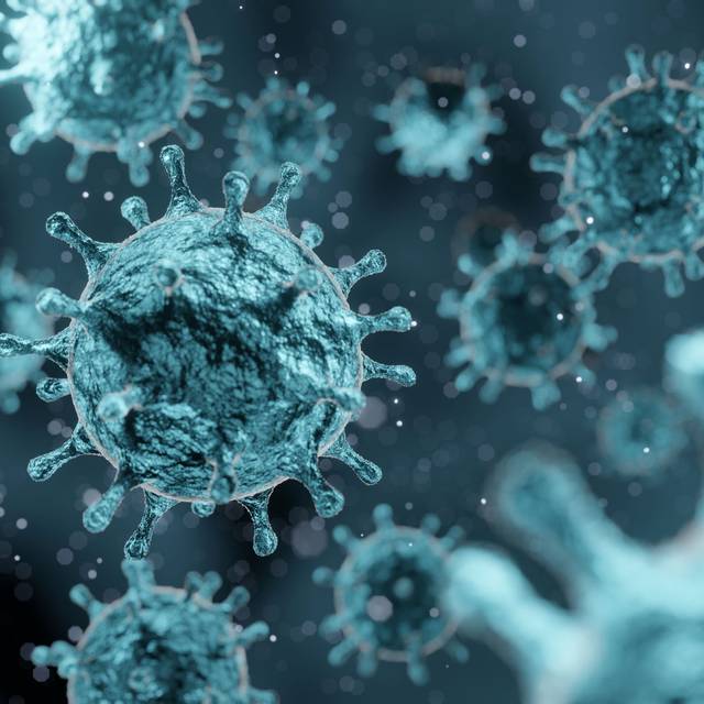 coronavirus