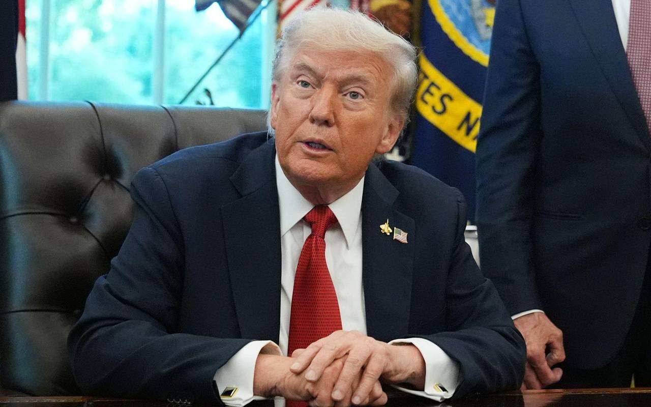 Thunberg und Trump