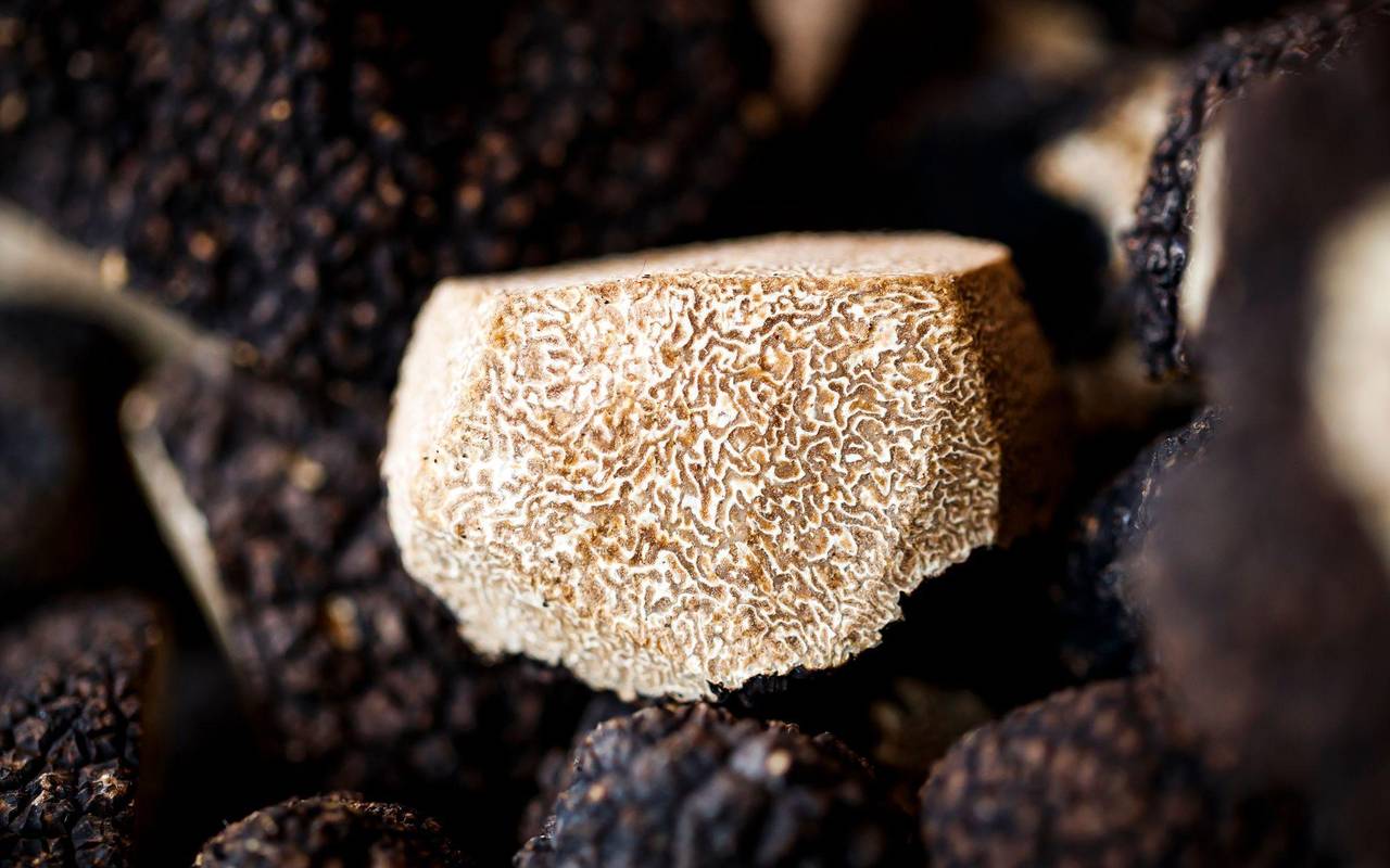 Warum Trüffel Trendfood sind