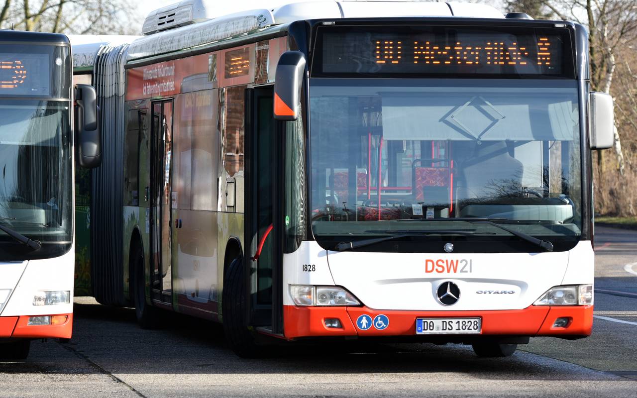 Bus der DSW21