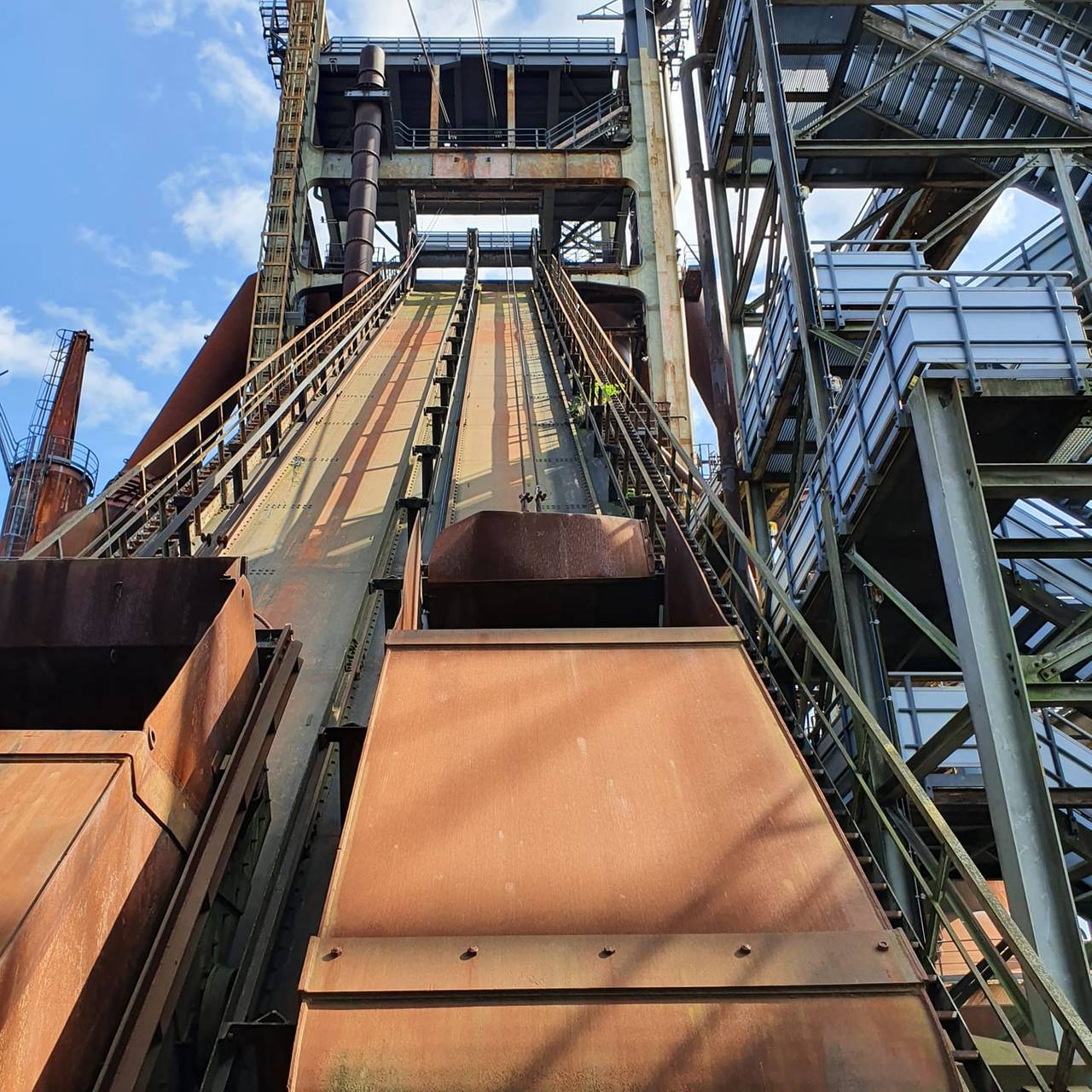 Foto der Woche: Das Foto des Jahres