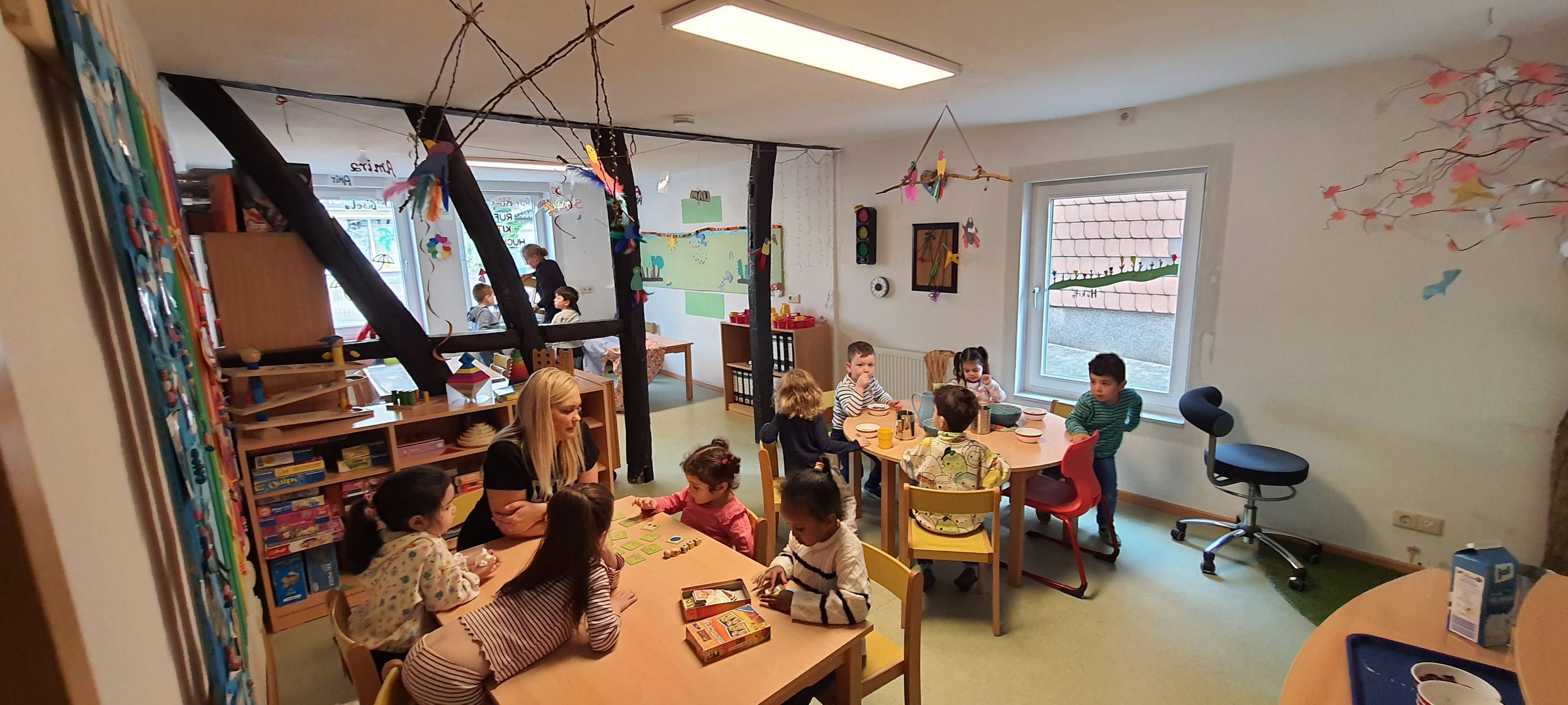 Plapagei - Wo Worte fliegen lernen