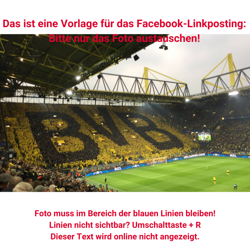 Bvb Hammer! Irre Offerte Für Guirassy – Kann Dortmund Das Toppen?! - x3zsfw3