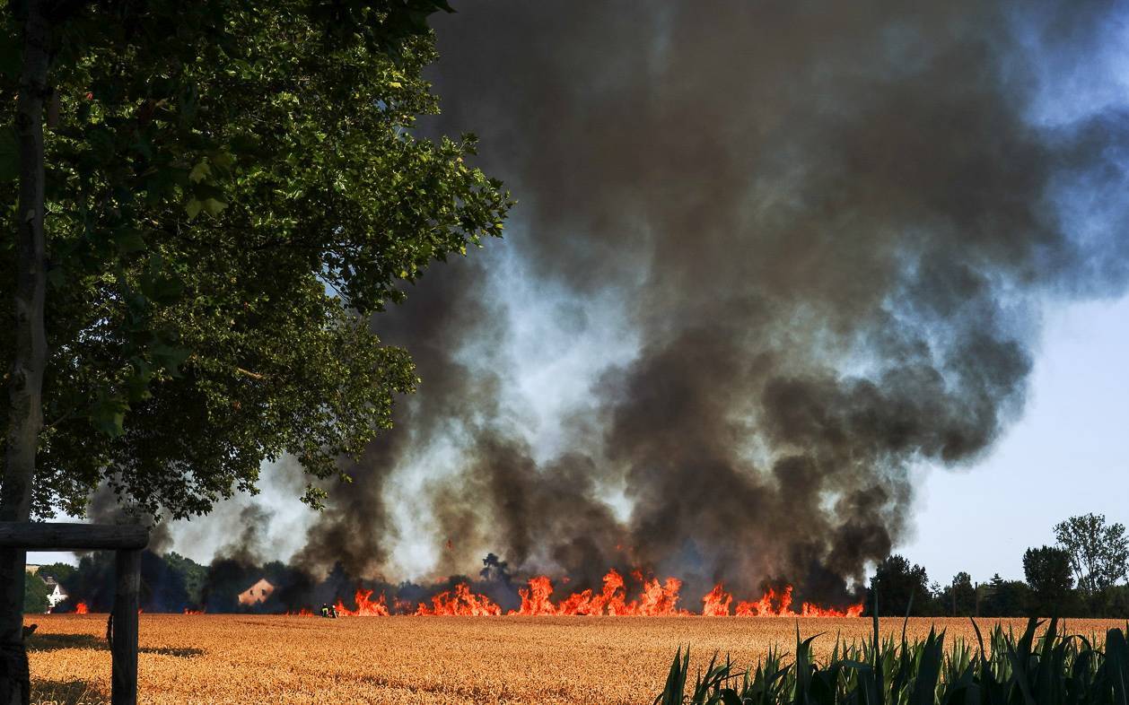 Ein Feldbrand in Nette im Jahr 2019 aufgrund von Dürre.