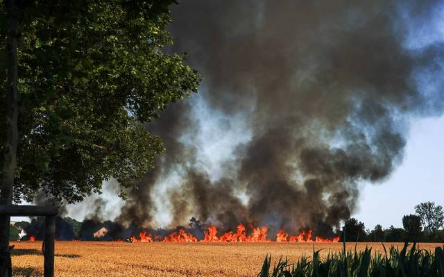 Ein Feldbrand in Nette im Jahr 2019 aufgrund von Dürre.