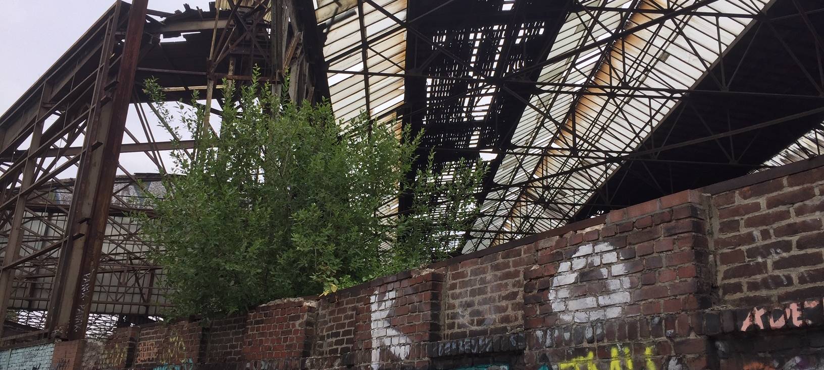 Ehemalige Jucho-Hallen werden abgerissen